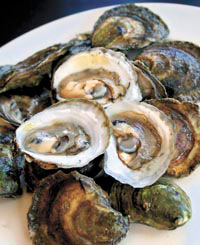 o_flying-point-oysters