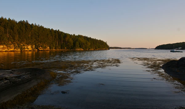 October 2004 download this story as a .pdf By Jan Grieco Just offshore from where posh Sebasco Estates in Phippsburg sits today, 41-acre Malanga Island was home to a black...