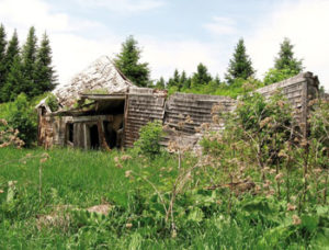 Beautiful-Ruins-moir-farm