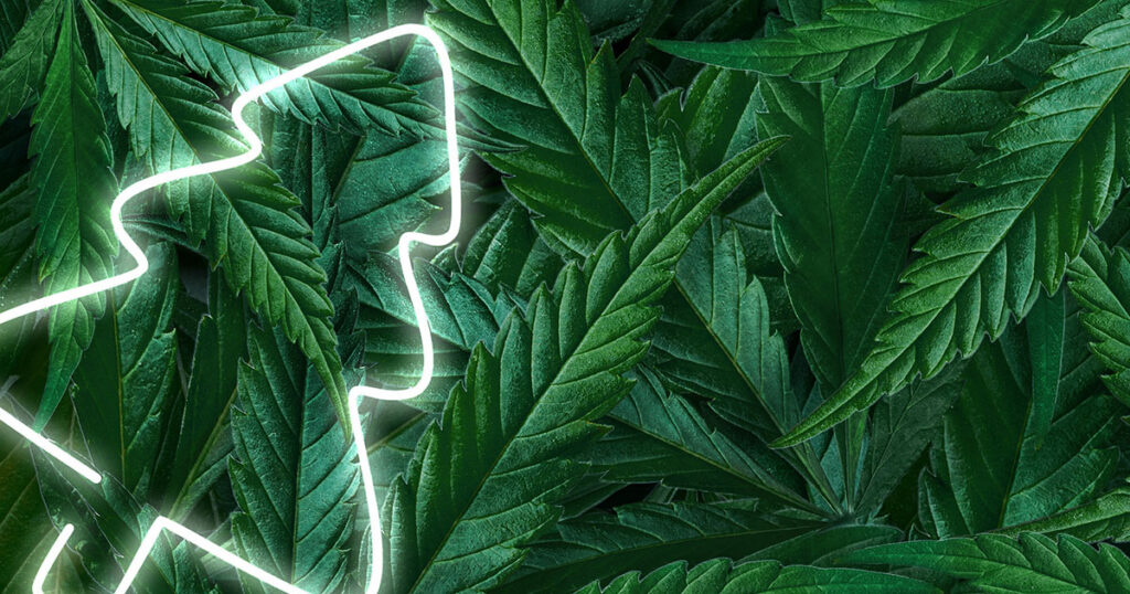 hemp