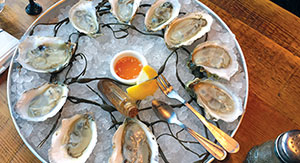 Maine Oyster Company