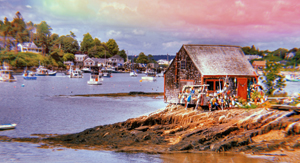 The Islander
