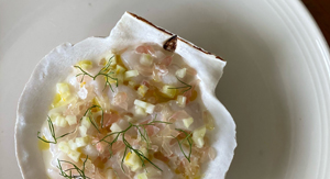 Shellfish, Shell Dish