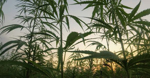 A Brief History of High