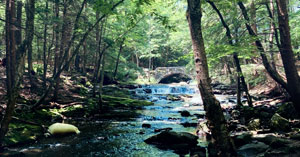 Micro Hikes