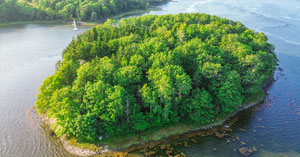 Islands? In Your Dreams ​​