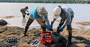 The Rake’s Progress