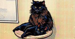 The Truth About Cats